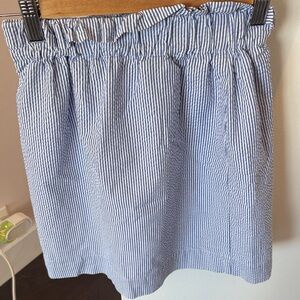 Blue Striped Women's Skirt